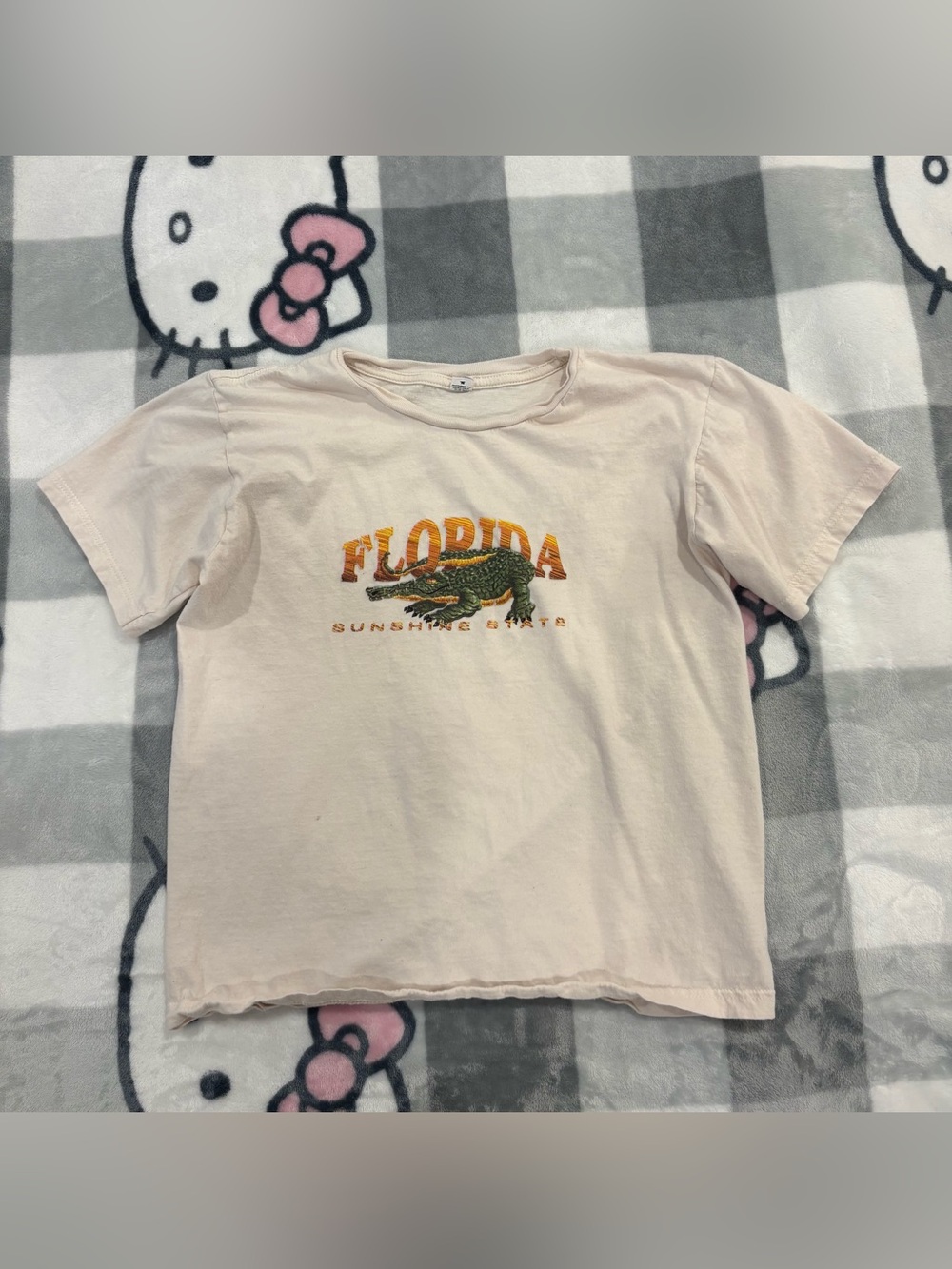 Anvil Florida Sunshine State Alligator Graphic T-Shirt